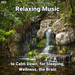 Relaxation Music Pt. 16