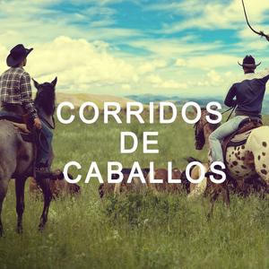 El Caballo Medias Blancas