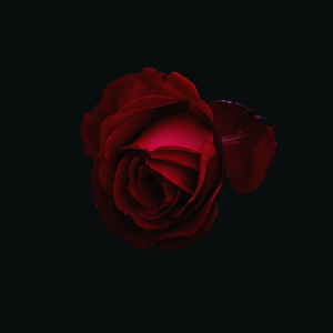 【Free】"Hypoxia" Pop Smoke Type Beat
