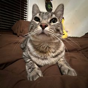 Let It Happen (slowed)