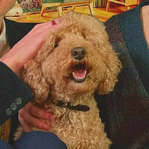 DMI (Dansk Meteorologisk Institut)