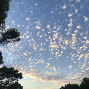 Aguila (feat. Alex Goretzki)