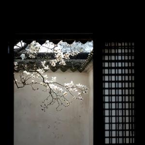 落了白（DJ空灵鼓）