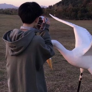 “烟火能震撼人心的也只有片刻”