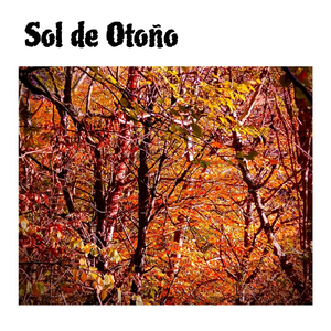 Sol De Otoño