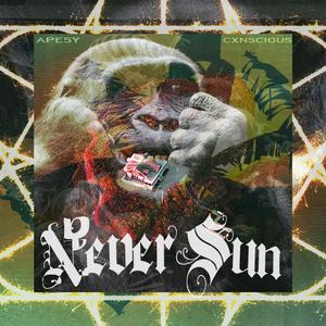 Sopok (feat. Cxnscious Now)