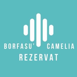 Rezervat (feat. Camelia)