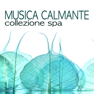 Musica Calmante per Musicopterapia