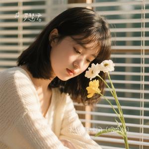 我独行天地间（烟嗓版）