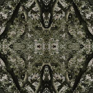 Dual (Single Version)