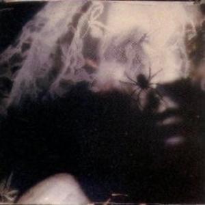 Numb (feat. Killbunk)