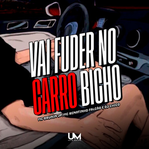 VAI FUDER NO CARRO BICHO