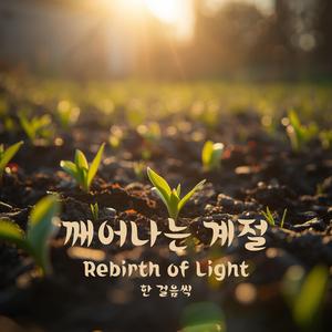 깨어나는 계절 (Rebirth of Light)