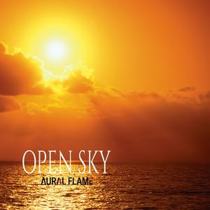 Open Sky