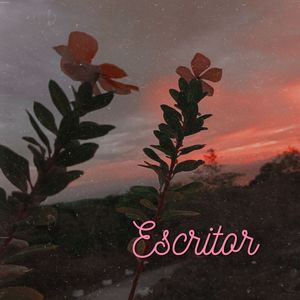 Escritor