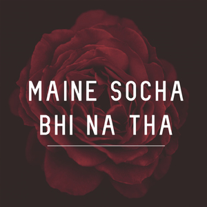 Maine Socha Bhi Na Tha