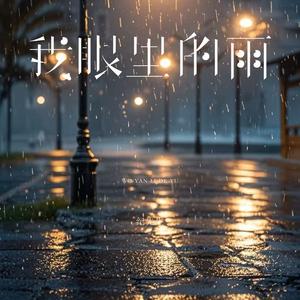 我眼里的雨