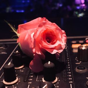 春娇与志明(NAYA Bootleg Remix)（DJ NAYA remix）