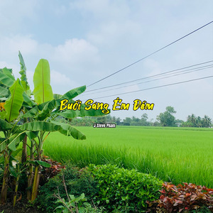 Buổi Sáng Êm Đềm