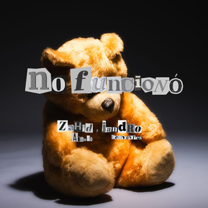 no funcionó