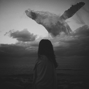 Long Whale Song (Sped Up)