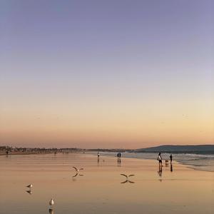 Children of the Sunset