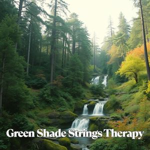 木の香りとヴァイオリン