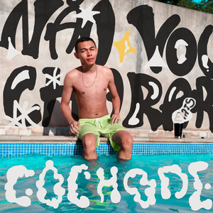 Não Vou Chorar Mais