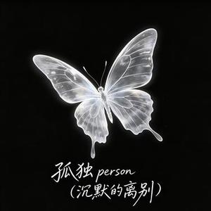 孤独Person
