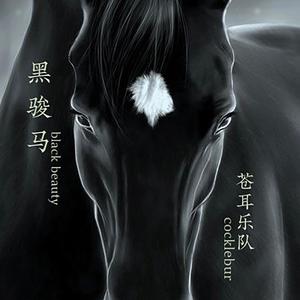 黑骏马