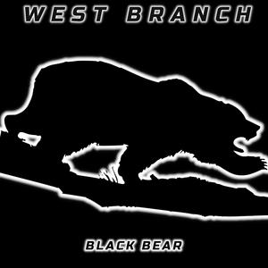 Black Bear