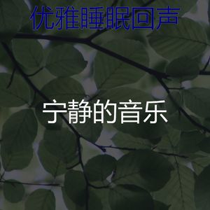 温和冥想梦想