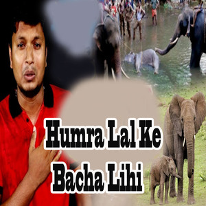 Humra Lal Ke Bacha Lihi