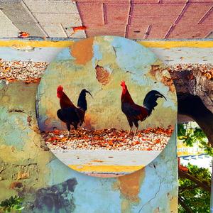 Lil Isle (feat. Yasine Patel)