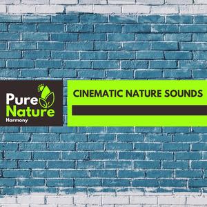 Echoing Ribbits of Wetland Frogs