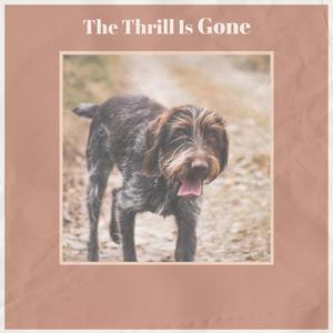 Take Me In Your Arms