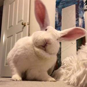 给电影人的情书