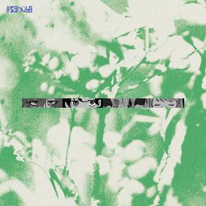 ピプパペット (feat. 初音ミク)