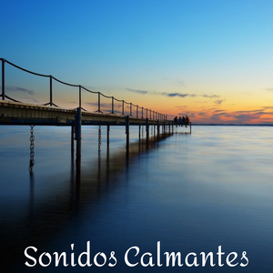 Atrayendo abundancia