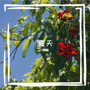 二十七号天文漫游