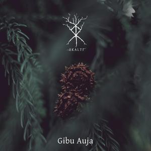 Gibu Auja