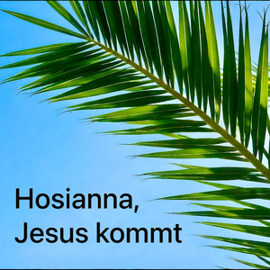 Hosianna, Jesus kommt