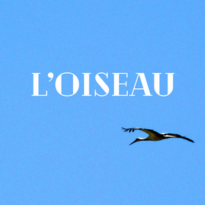 L'Oiseau