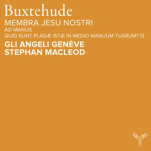 Membra Jesu Nostri, BuxWV 75, Ad manus: Tutti. "Quid sunt plagæ istæ in medio manuum tuarum?" (I)