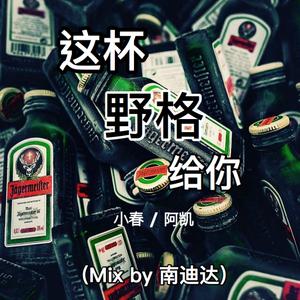这杯野格给你（Mix by 南迪达）