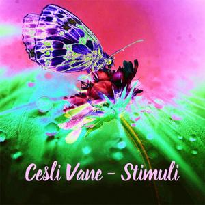 Stimuli