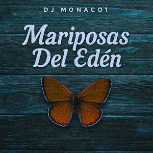 Mariposas Del Eden