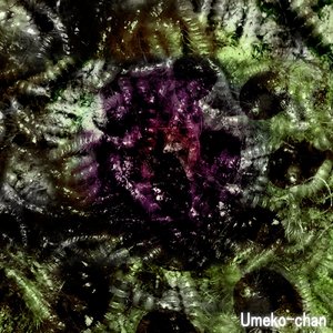 CARCASS～苦境時代～