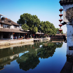 半醉半醒半浮生