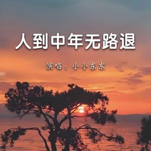 人到中年无路退